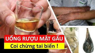 Uống rượu pha mật gấu - Coi chừng tai biến !