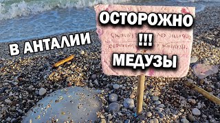 ⚠️❗ОСТОРОЖНО МЕДУЗЫ В АНТАЛИИ/ ОТКРЫЛИ новую набережную ЛИМАН