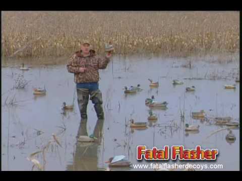 mountain duck fatal eeror during installaytion mountain duck fatal eeror during installaytion