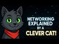 Networking Explained by a Genius Cat (Learn the Internet Like Never Before!)