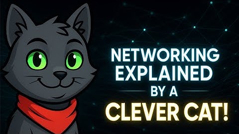 Networking Explained by a Genius Cat (Learn the Internet Like Never Before!)