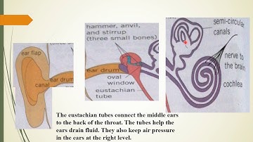 Sub Science, Grade 6, Week 9 ,Day, 2 VIDEO