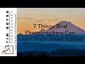 7 Things Bird Photographers Can Learn From Ansel Adams