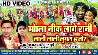 Mola Nik Lage Rani | HD VIDEO | Ashok Rajwade Suman Kurrey | CG SONG | Sargujiha Karma Dadariya | SB