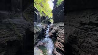Watkins Glenn and Robert H. Treman State Park
