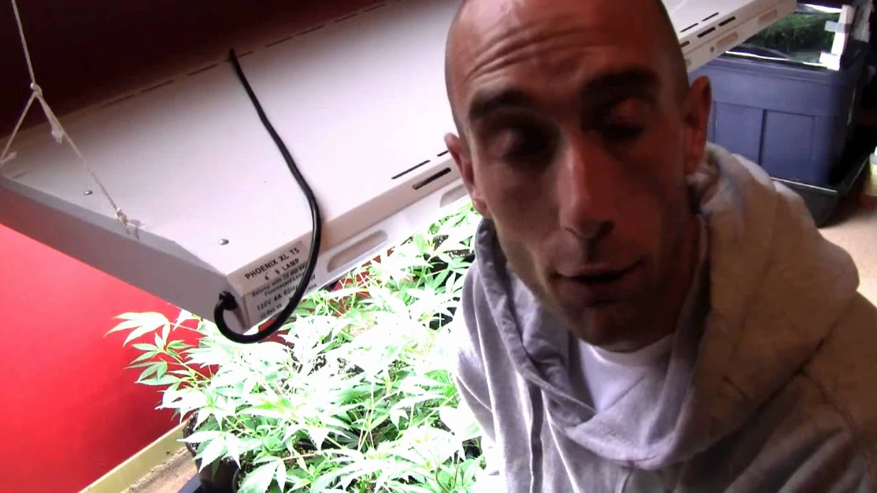 We are OMMP - dhs OMMP - ommp card  ommp caregiver