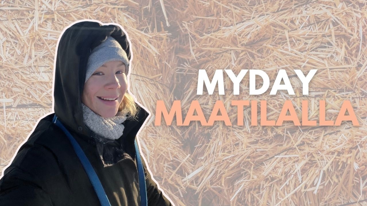 Seuraa mun päivää maatilalla! 🚜
