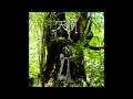 【Audio】【天の樹】Tsuki Amano 天野月 - 03 天の樹(Album Version)