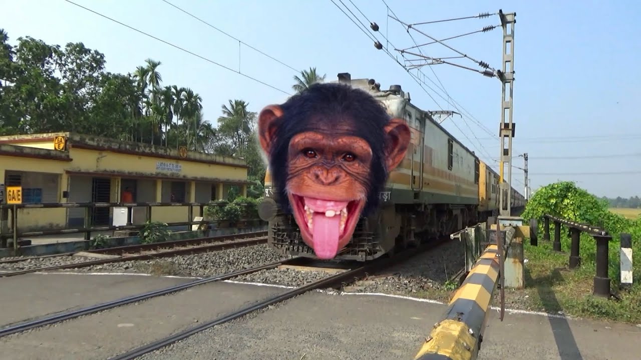 Dangerous Chimpanzee Headed Kulik Express Furious Moving Throughout at Railgate 