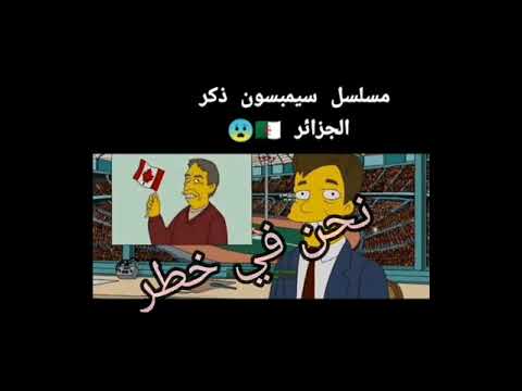 مسلسل سيمبسون ذكر الجزائر