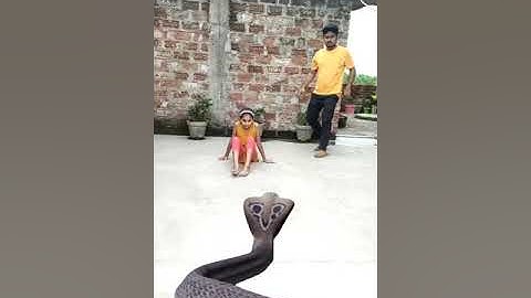 Nagin Snake vfx magic video   Cobra vfx viral video1080p