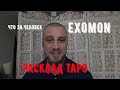 Паша EXOMON - что за человек? Расклад Таро Беларусь.