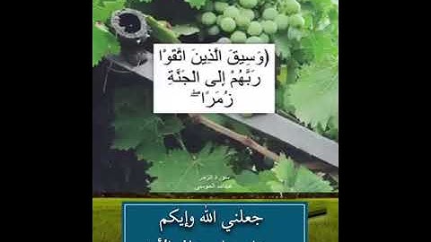 تلاوة خاشعة من سورة الزمر للقارئ عبدالله الموسى