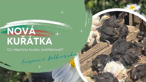 Farma v Bulharsku | Nová kuřátka | Co všechno budou potřebovat? | My v Bulharsku #bulharsko #farma
