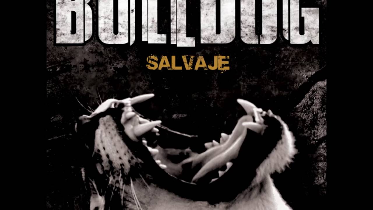 Bulldog - Apocalipsis (AUDIO) adlı videoyu YouTube'da izle Bulldog - Apocalipsis (AUDIO) adlı videoyu YouTube'da izle