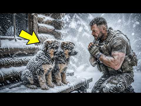 A Navy SEAL Took In Two Freezing Dogs—By Morning, Police Surrounded His Home!