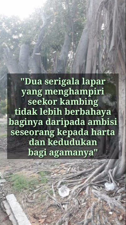 Manusia Lebih Serakah Dari Serigala Lapar