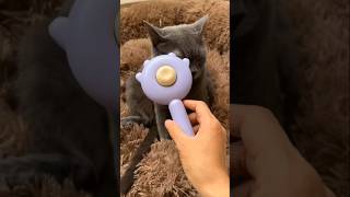 Best One Click Pet Brush Comb for Dogs & Cats! 🐈🐕