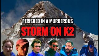 The 1995 K2 Disaster: What Went Really WRONG ?