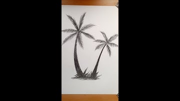 Coconut palm tree drawing #shorts