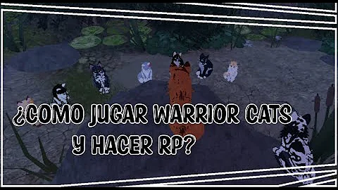 ¿Cómo hacer un RP?