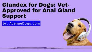 Glandex for Dogs: Vet-Approved for Anal Gland Support