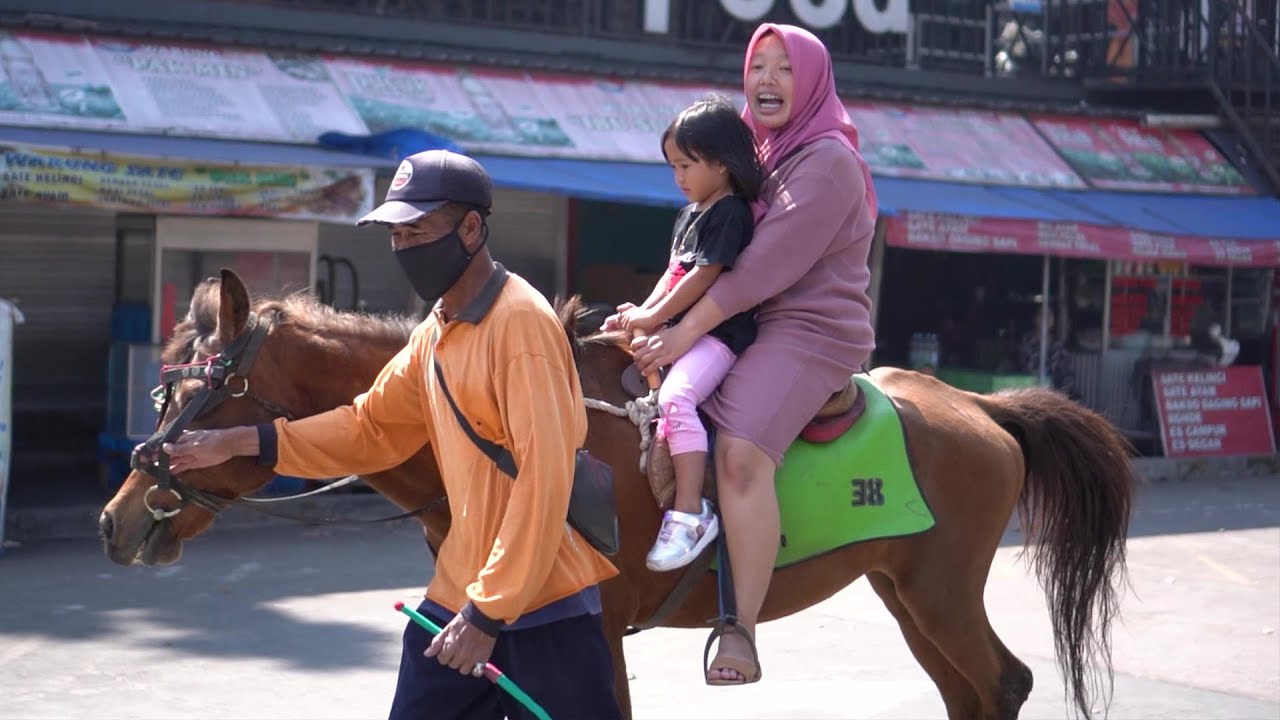 Naik Kuda Tuk Tik Tak Tik Tuk