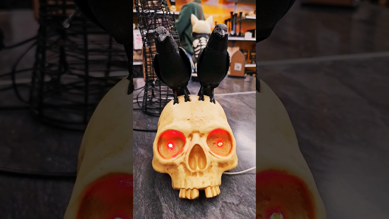 Hungry Black Crows #halloween2023 #blackcrows #animatronics