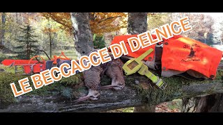 CACCIA ALLA BECCACCIA - Le Beccacce di Delnice - Croazia - Woodcock Hunting 🦅🐶 by Hunt Is Life 7,815 views 2 years ago 16 minutes