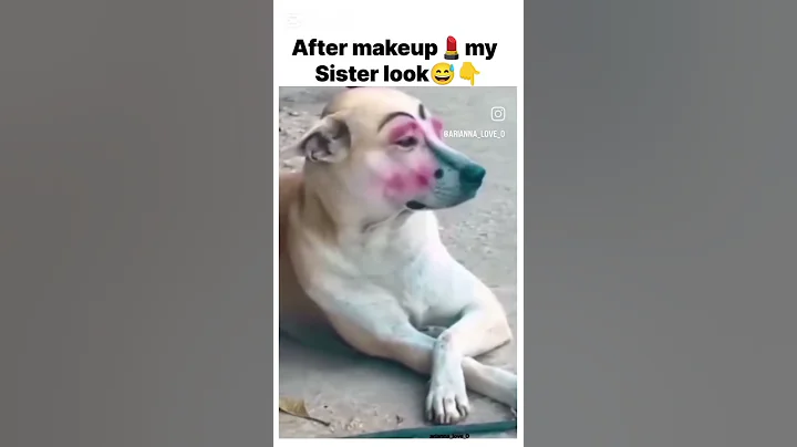 Watch the video about Funny video🤣#like #funny #subscribe #viralvideo #comedy #share #cat #dog #memes #bangladesh #indian