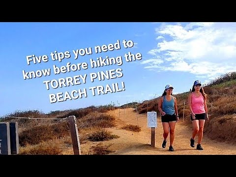 Vídeo: Quando a praia estadual de Torrey Pines abrirá?