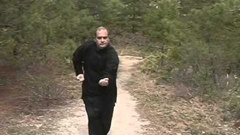 Hsing Yi - Pa Sil - Demonstration