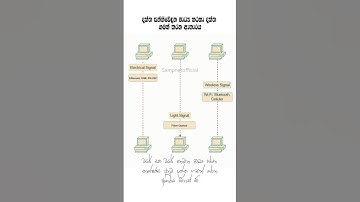 Data Transmission | Wired and Wireless Media | Animation Short ♥️🎉️ @sampnetofficial