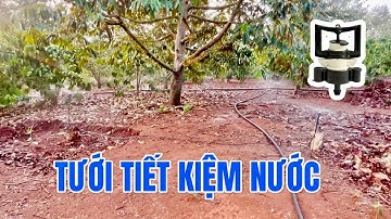 Béc Bù Áp VP3 Pro 90 lít | Tưới tiết kiệm nước, hiệu quả cao vượt qua nắng hạn hiện nay