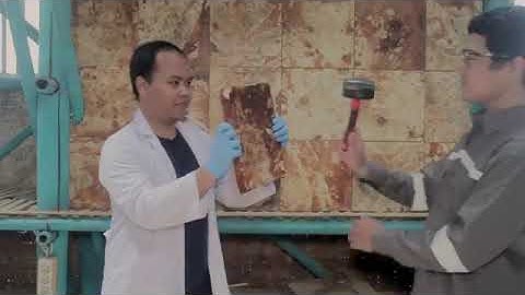 Mycelium in Architecture & Textile Industry - MYCOTECH IN KICKSTARTER