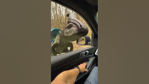 I would literally forget how to drive. Jurassic World: Chaos Theory is now playing!