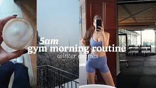 5AM *WINTER* MORNING ROUTINE  | healthy & productive habits  | winter diaries ep. 1 by Justcallmeflora 16,161 views 5 months ago 14 minutes, 37 seconds