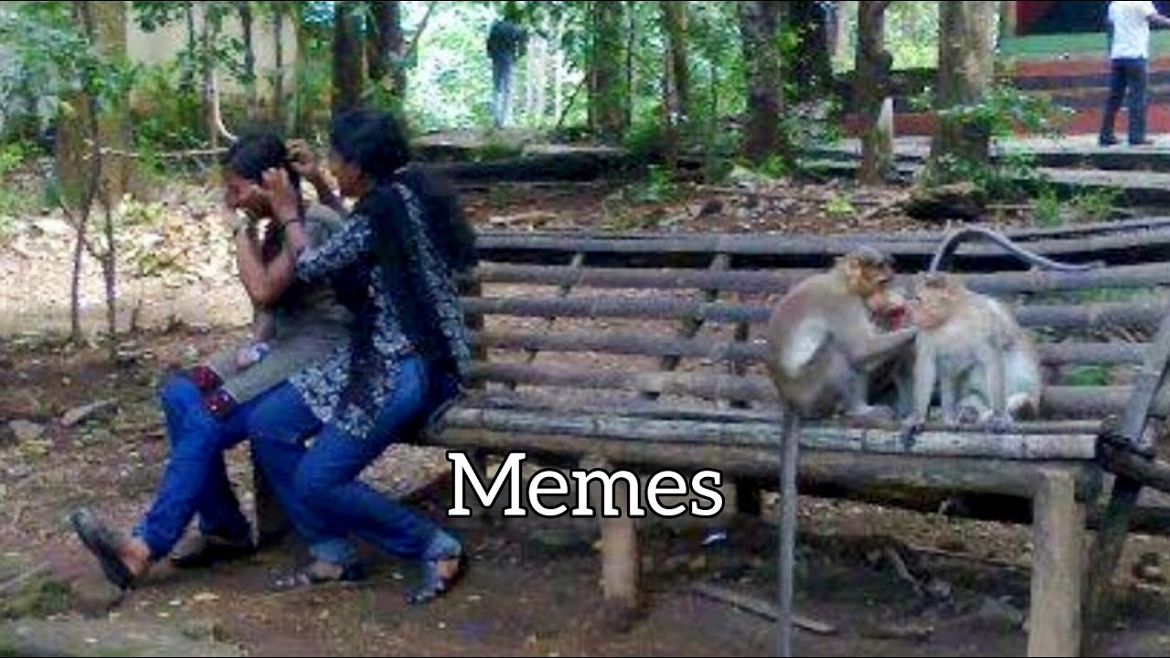 Funniest Memes You Missed This Week 😂🔥 | Try Not To Laugh Challenge 2026 || PART 18