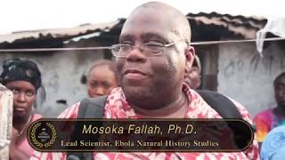 Mosoka Fallah: LDA 2017  Liberia Development Hero Worker of the Year