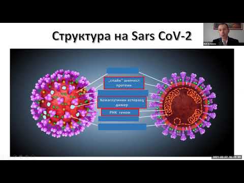 Видео: Когато нещо е остракизъм?