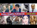 Кыздарга ТИЙИШСЕҢ 7 суткага КАМАЛАСЫҢ/Директорду АТЫП салыш КЕРЕК дейби/Чектөө КИРБЕЙТ деп Марипов