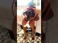 YOUR DOG does this ON PURPOSE!🤔