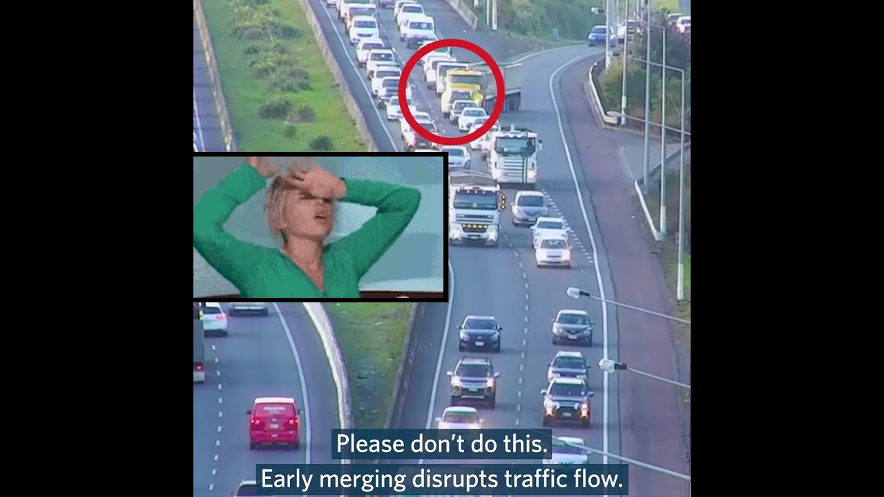 Driving in New Zealand? 