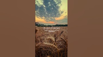ربي اشرح لي صدري ويسر لي امري 🤲♥️ #المصحف #قران_كريم #quran #تلاوة_خاشعة #اكسبلور #تلاوه #قرآن