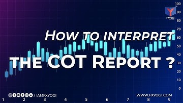 How to Interpret the COT Report?