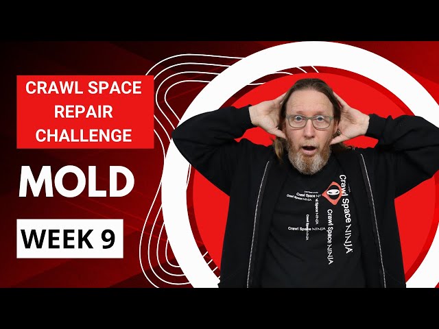 Mold | Week 9: Crawl Space Repair Challenge