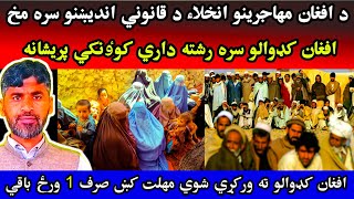 Afghan Refugees Deadline Deportation Repatriation Marriages Citizenship Anwar Zeb Official