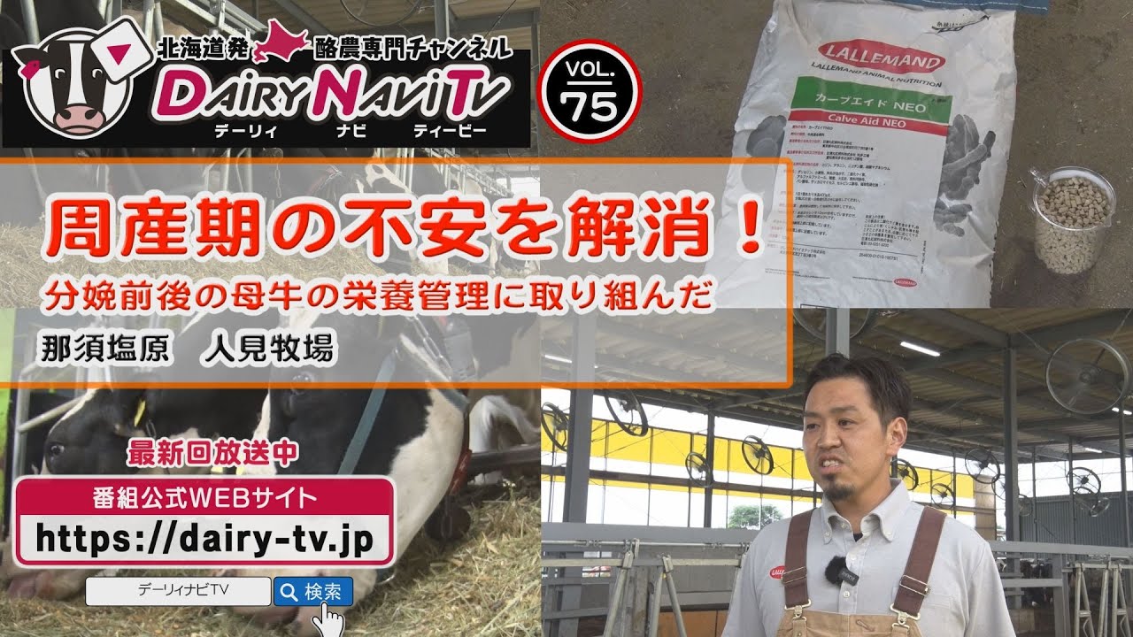 デーリィナビTV #75  『周産期の不安を解消!』那須塩原市　人見牧場