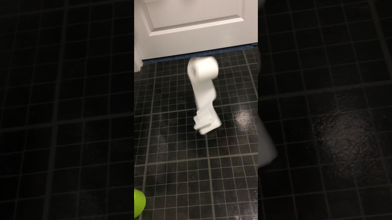 Throwing A Roll Of Toilet Paper On The Floor YouTube