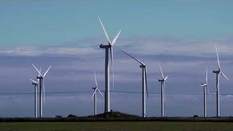 VIDEO UNIT 8 EVERYBODY UP 5